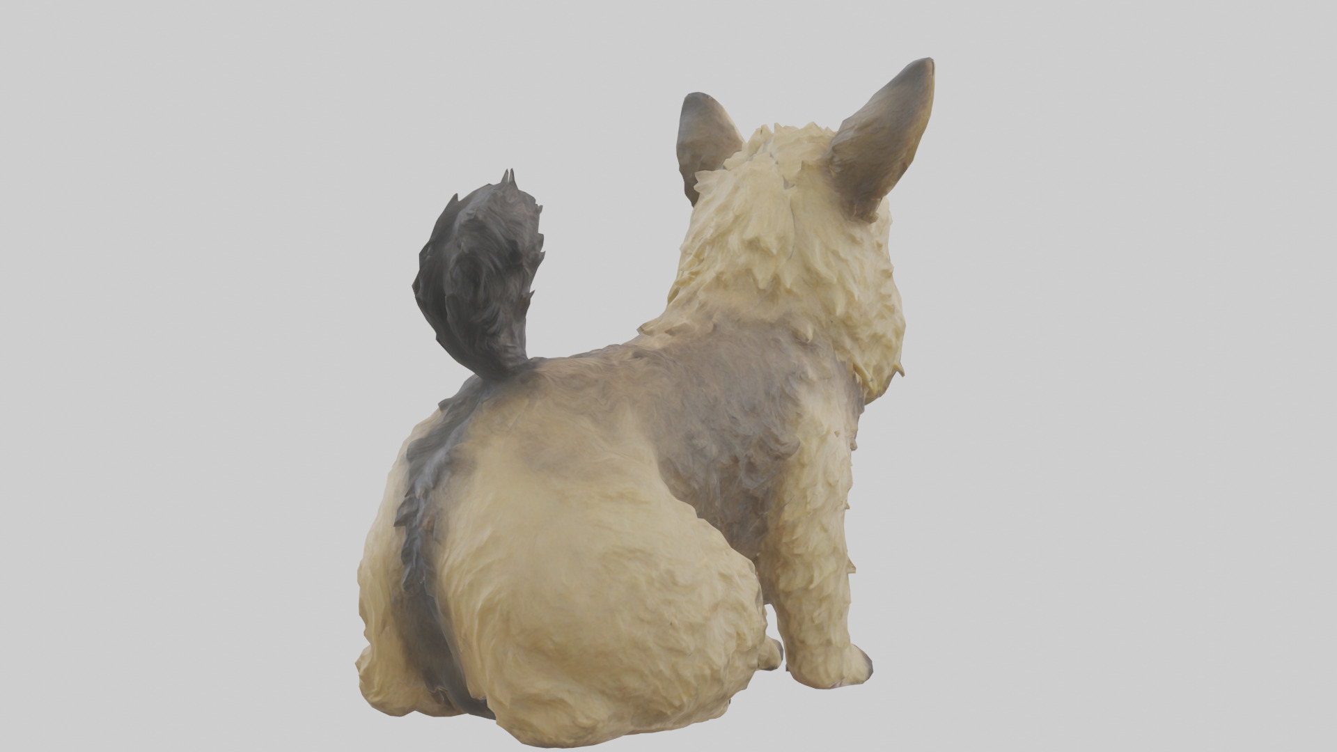 Cairn Terrier sitting model Low-poly 3D model_2