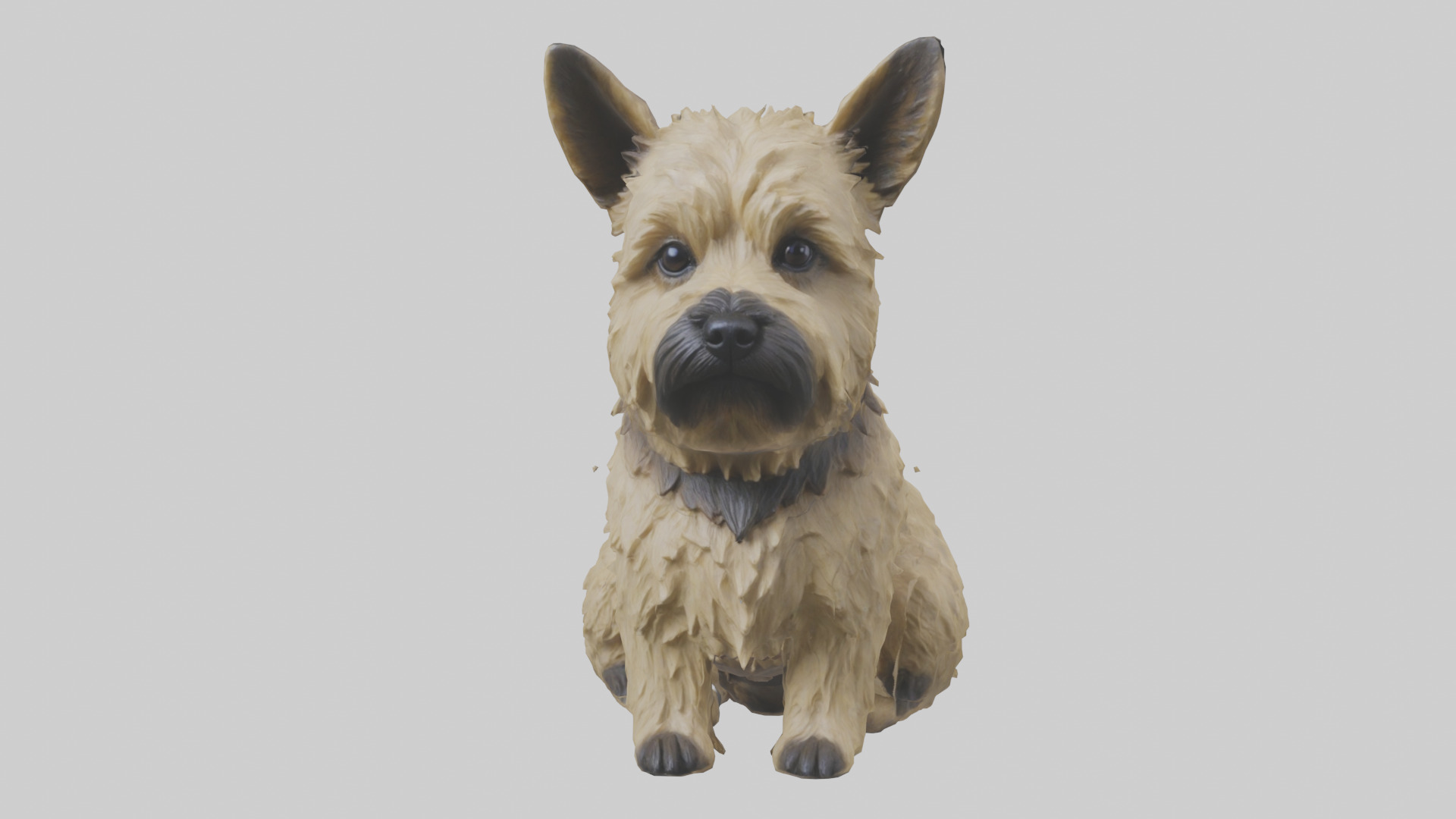 Cairn Terrier sitting model Low-poly 3D model_12