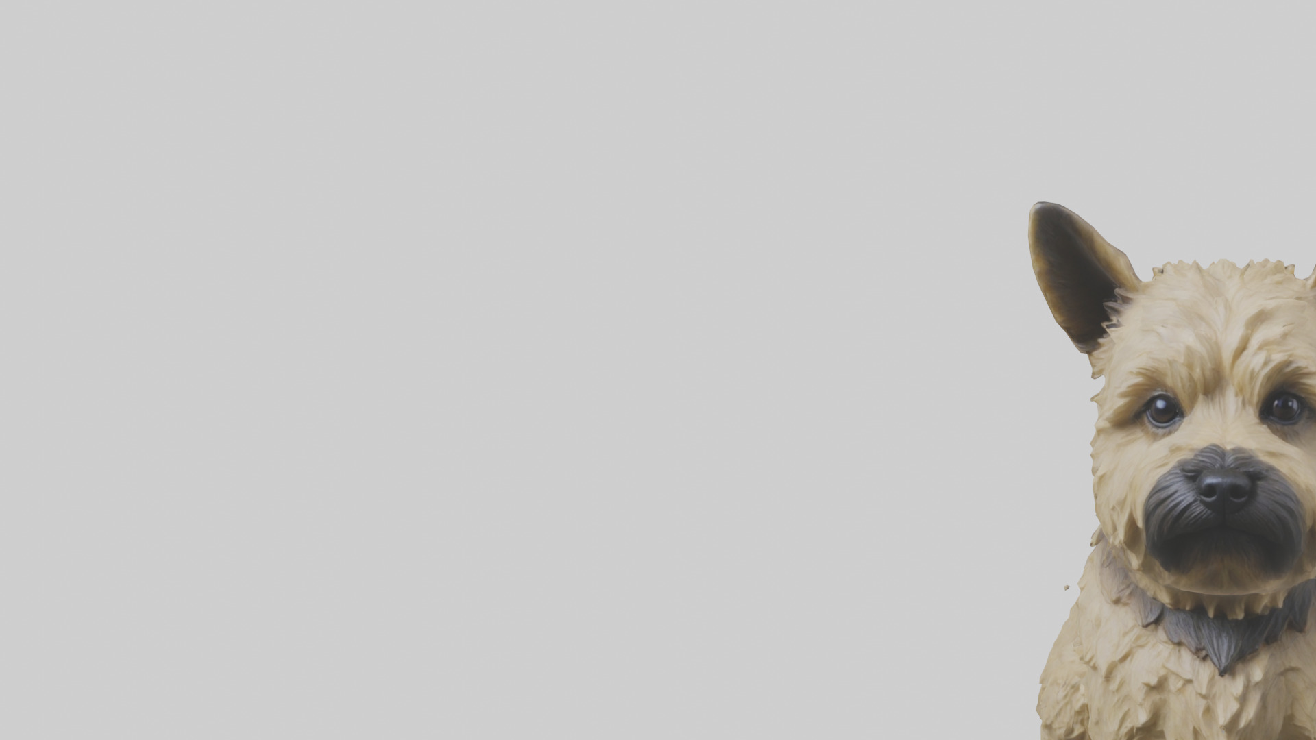 Cairn Terrier sitting model Low-poly 3D model_21