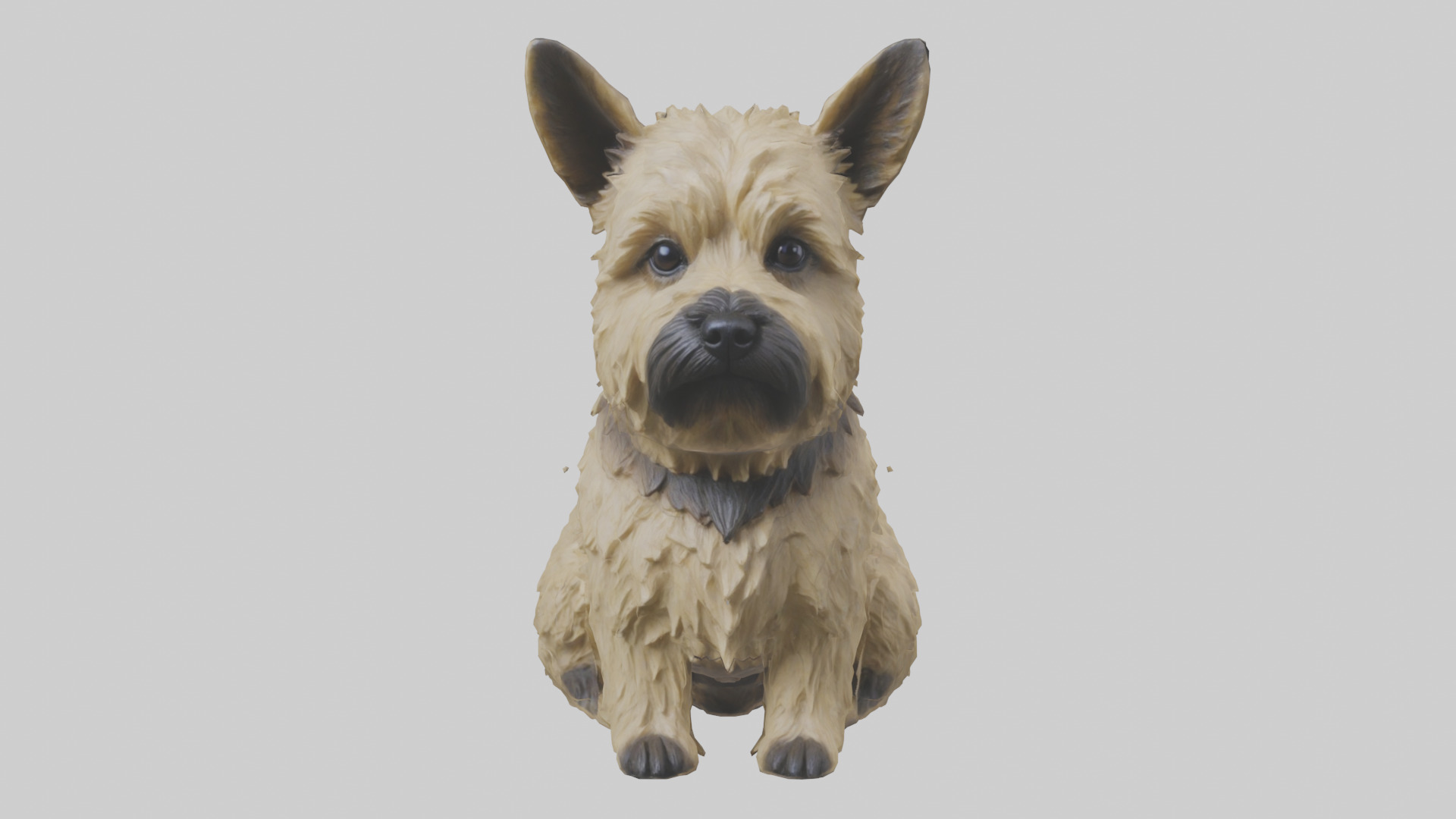 Cairn Terrier sitting model Low-poly 3D model_9