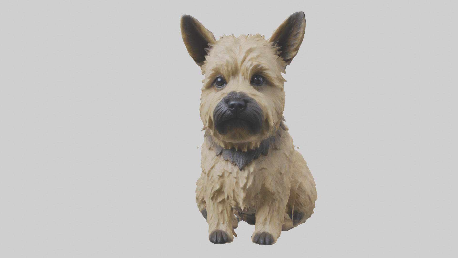 Cairn Terrier sitting model Low-poly 3D model_15
