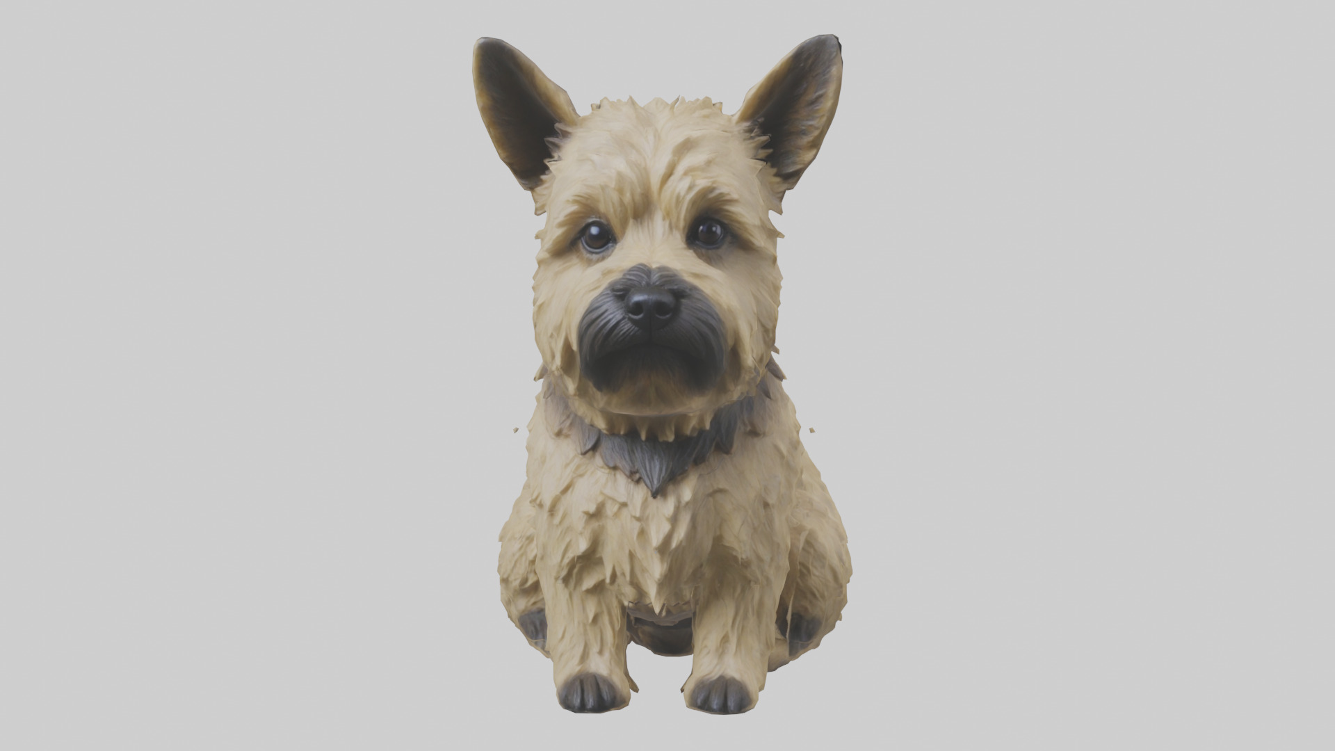 Cairn Terrier sitting model Low-poly 3D model_14
