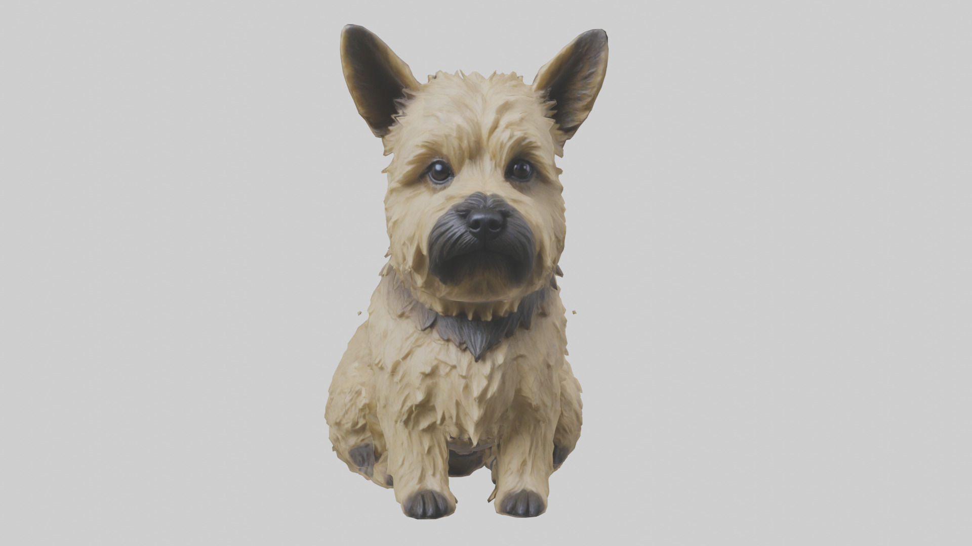 Cairn Terrier sitting model Low-poly 3D model_17