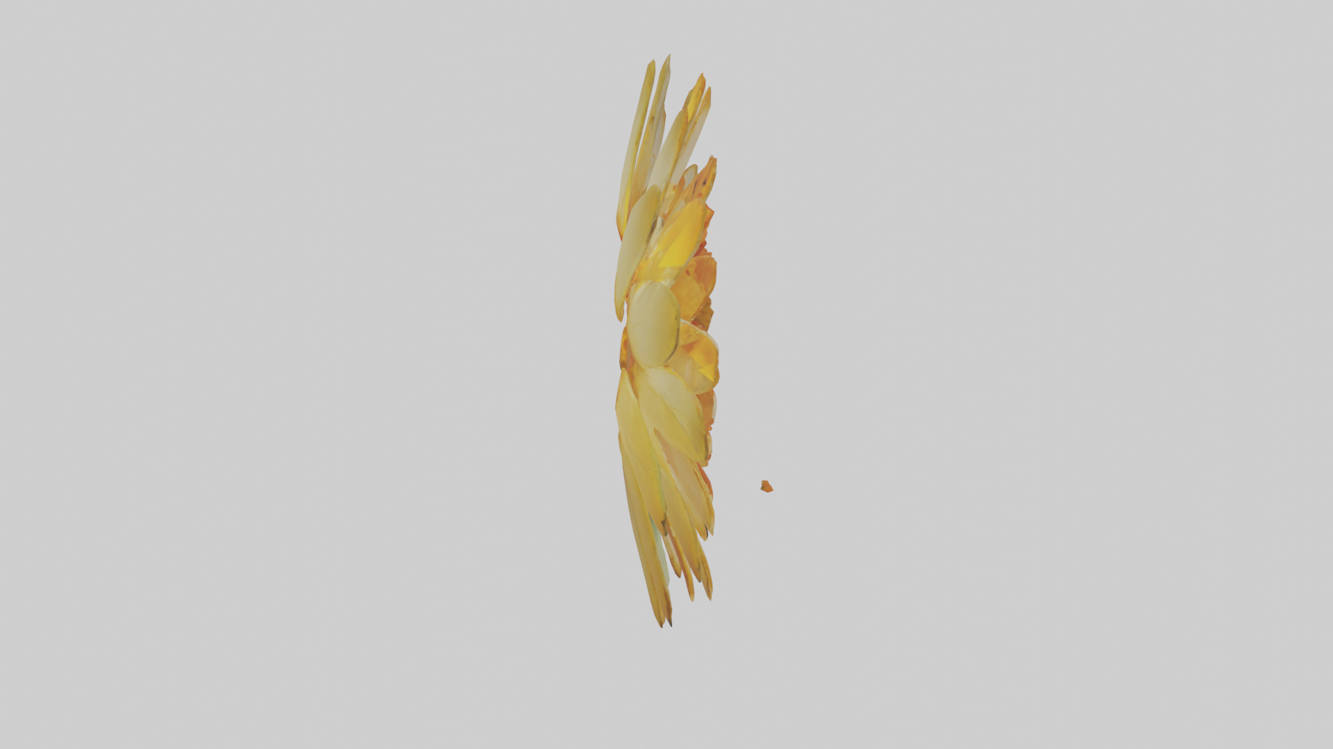Calendula model Low-poly 3D model_28