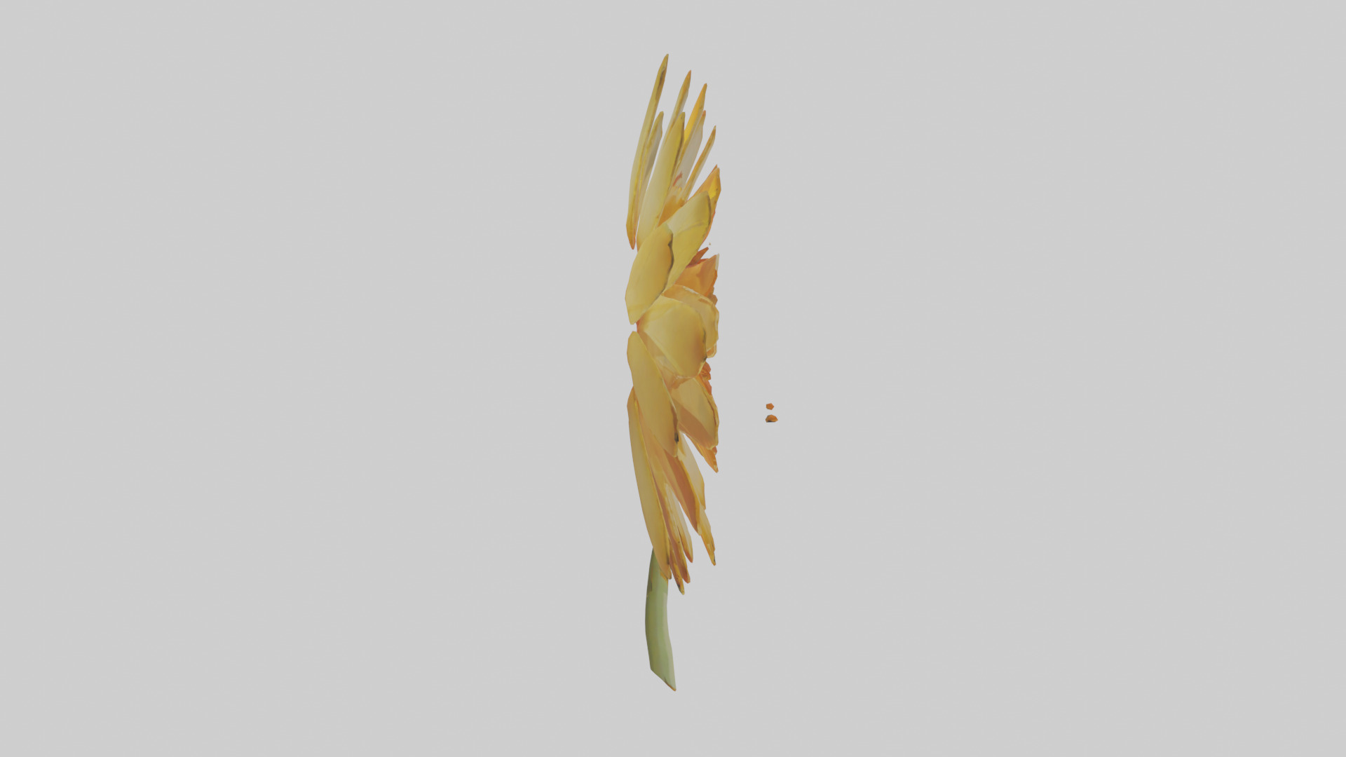 Calendula model Low-poly 3D model_23
