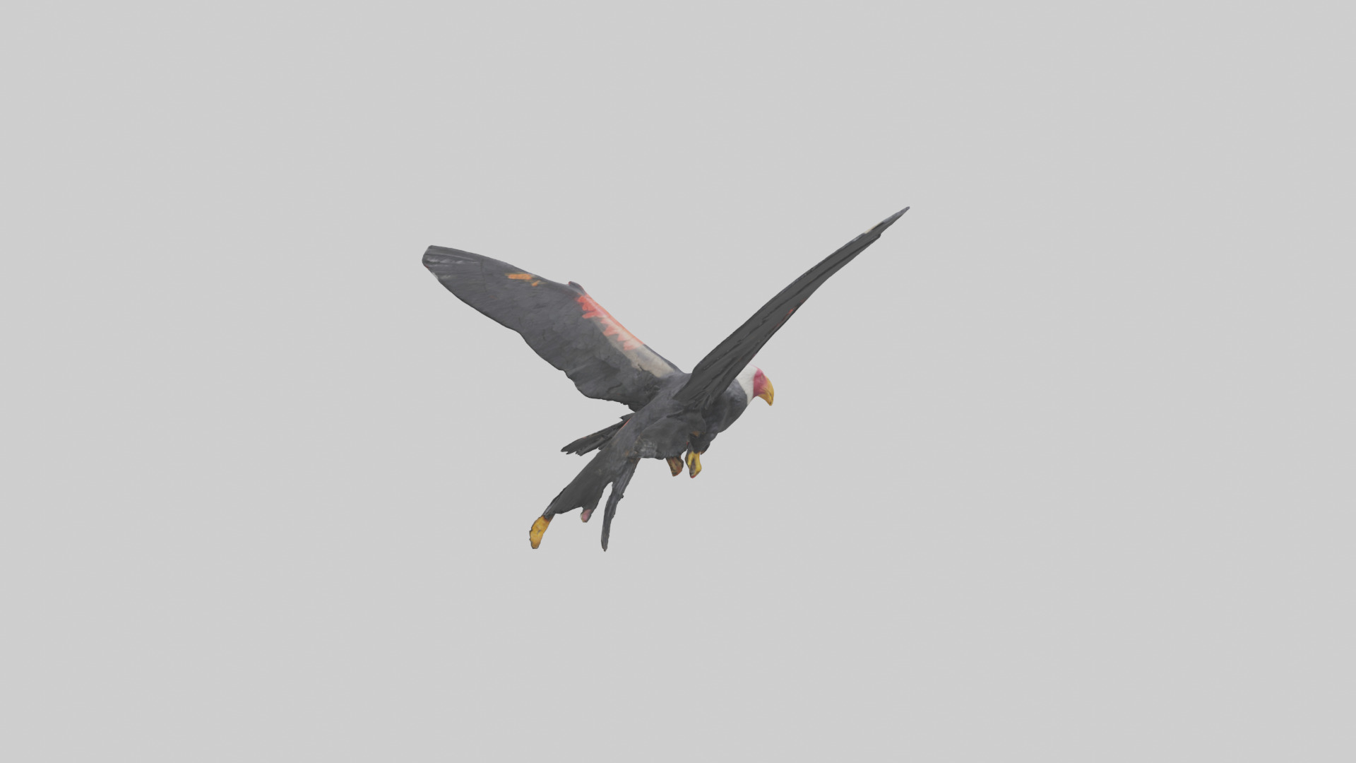California Condor gliding model Low-poly 3D model_1