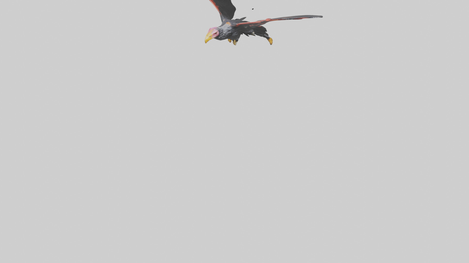 California Condor gliding model Low-poly 3D model_6