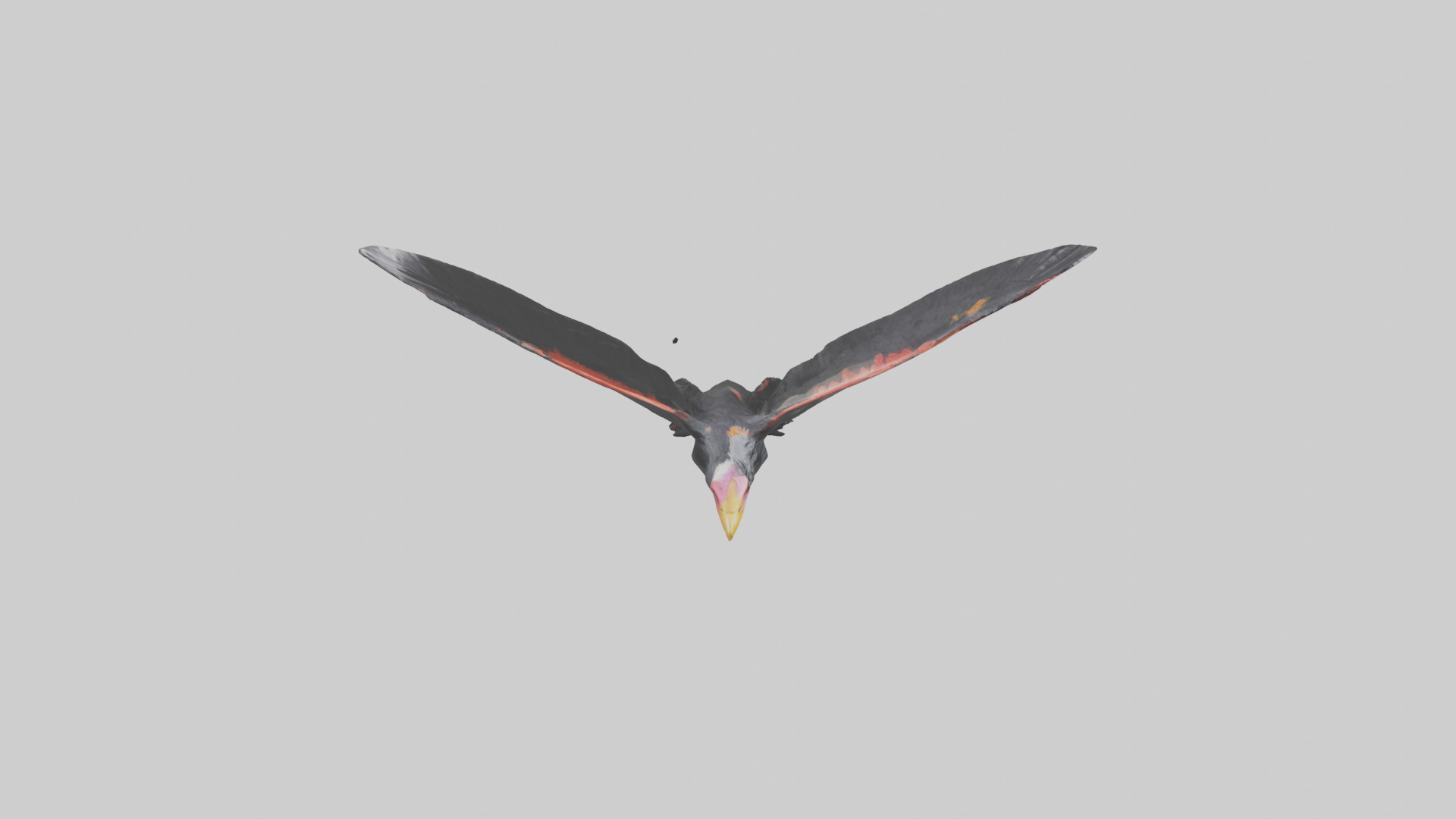 California Condor gliding model Low-poly 3D model_28