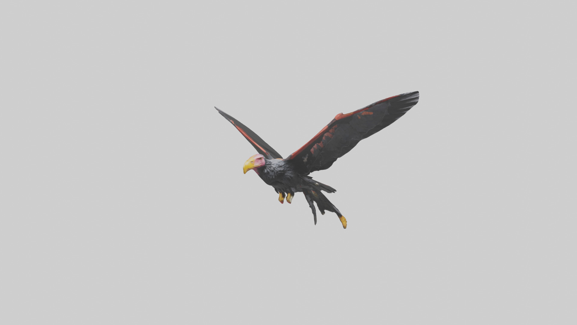 California Condor gliding model Low-poly 3D model_16