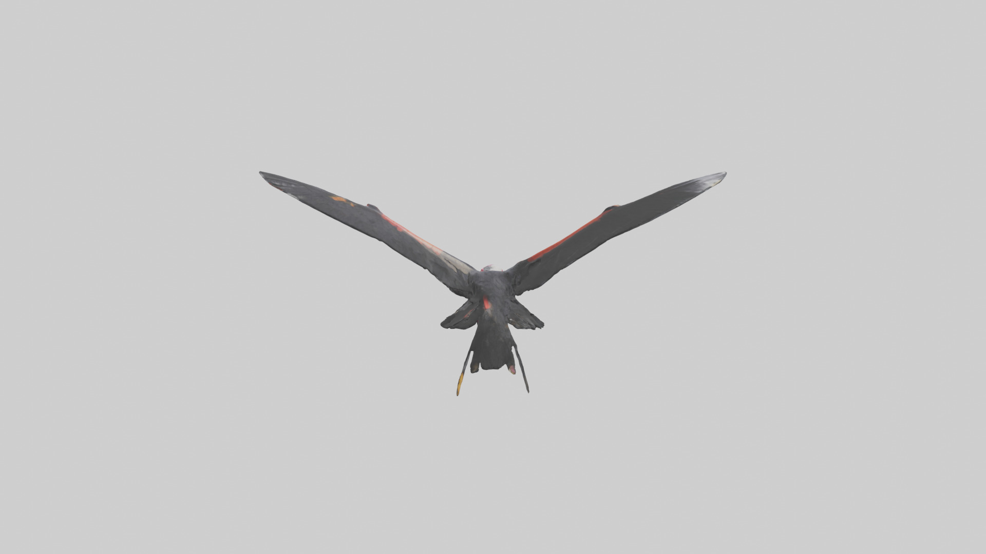 California Condor gliding model Low-poly 3D model_22