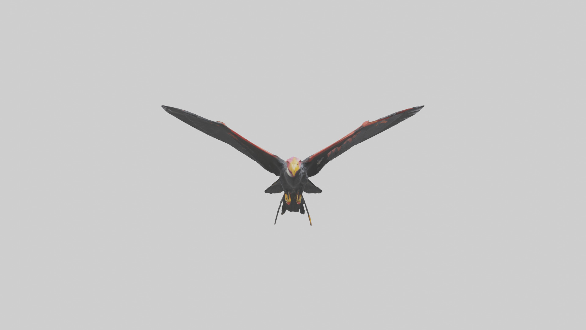 California Condor gliding model Low-poly 3D model_23