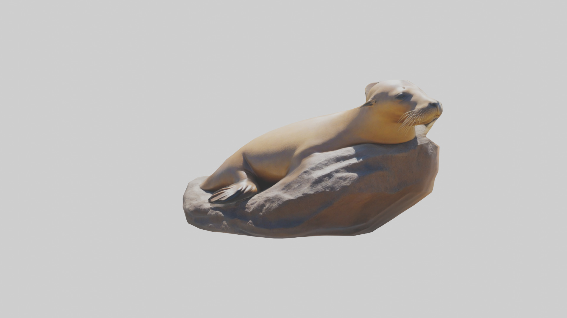 California Sea Lion sunbathing model Low-poly 3D model_15