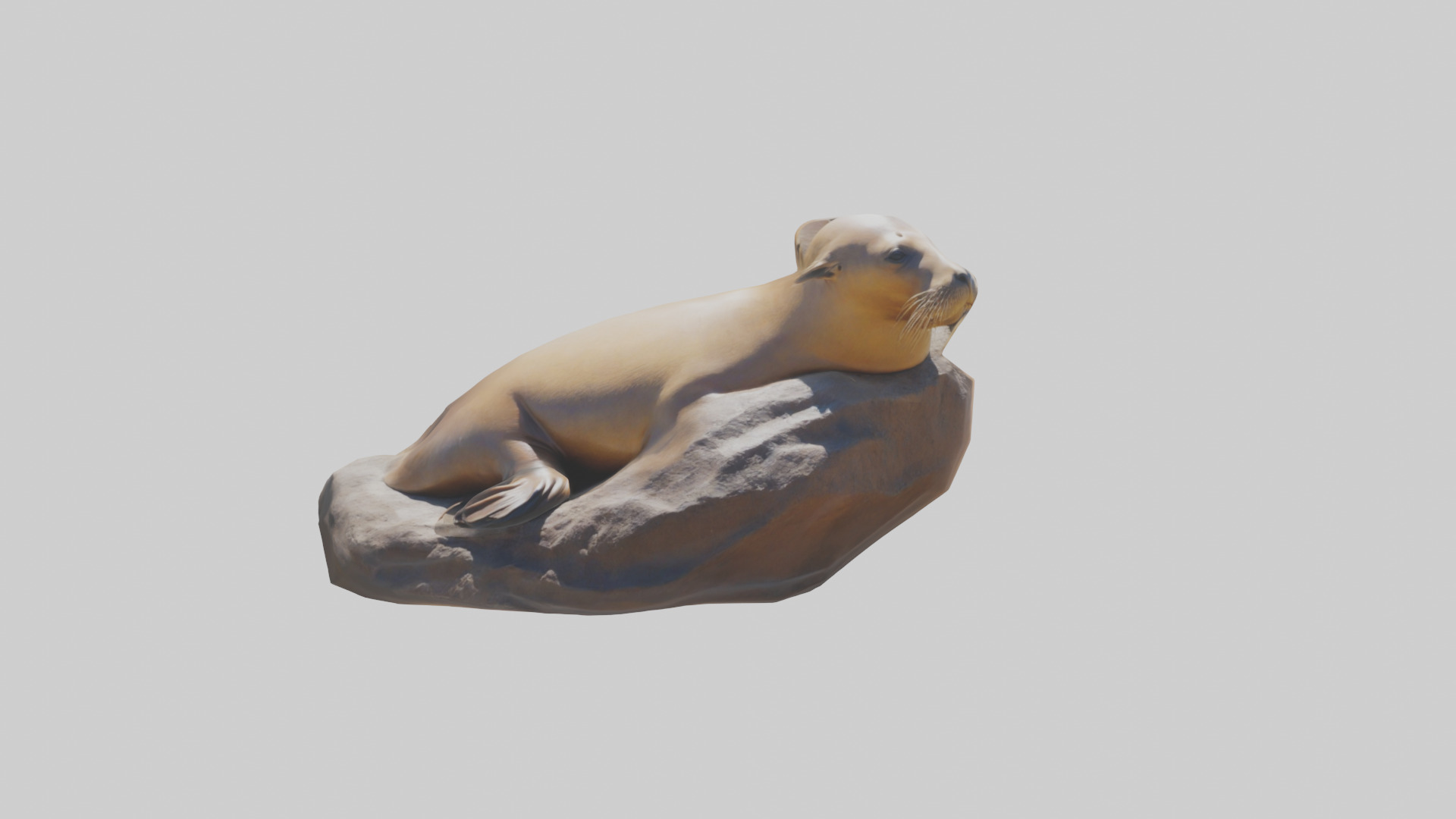 California Sea Lion sunbathing model Low-poly 3D model_18
