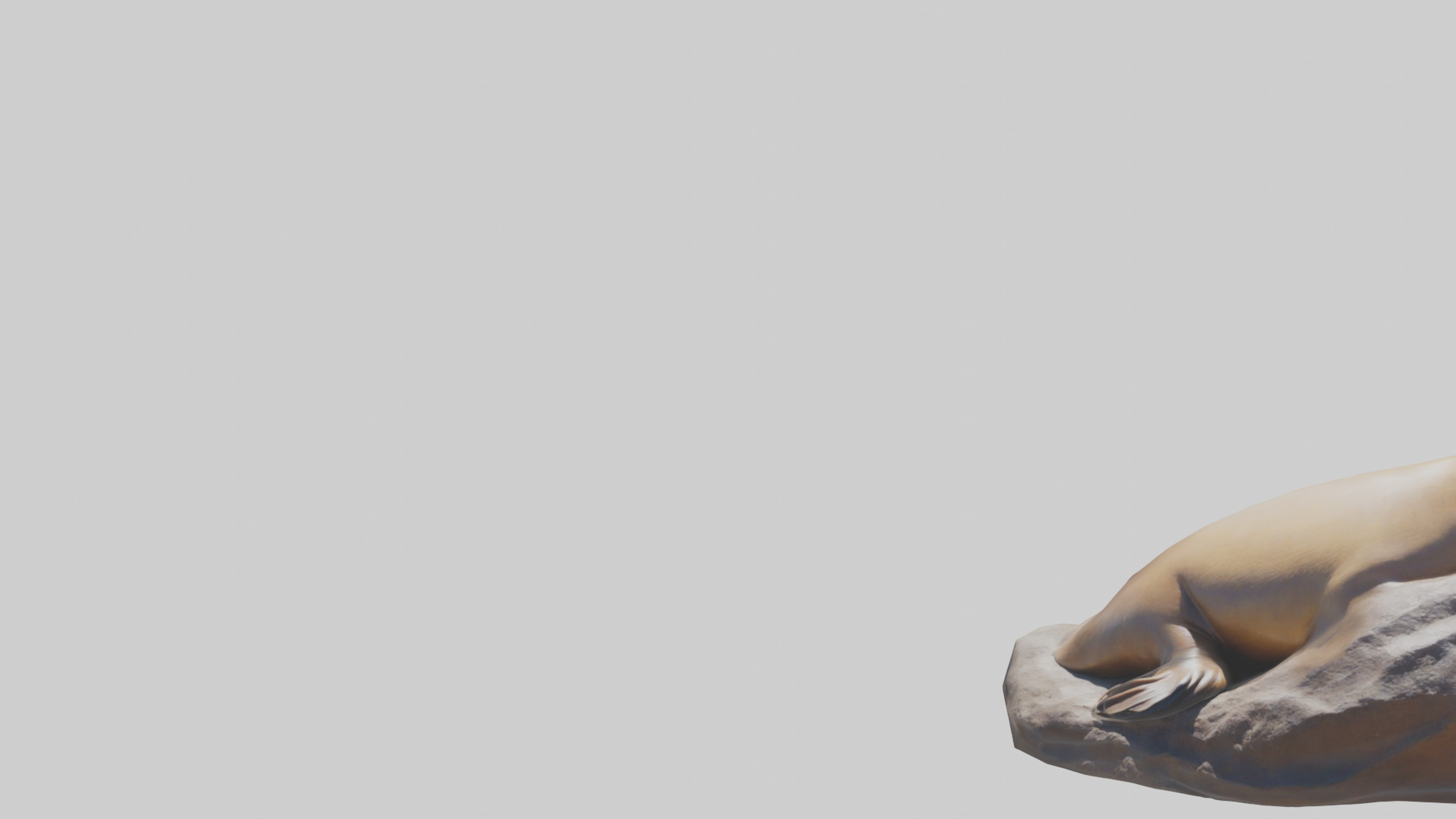 California Sea Lion sunbathing model Low-poly 3D model_21