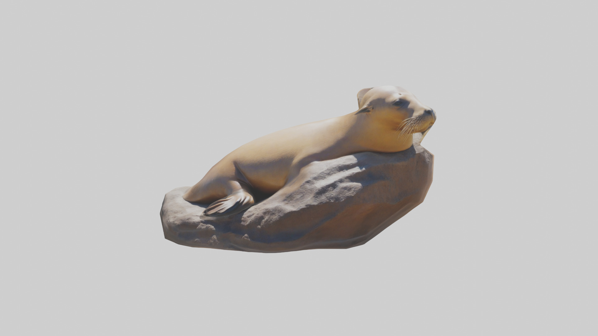 California Sea Lion sunbathing model Low-poly 3D model_19