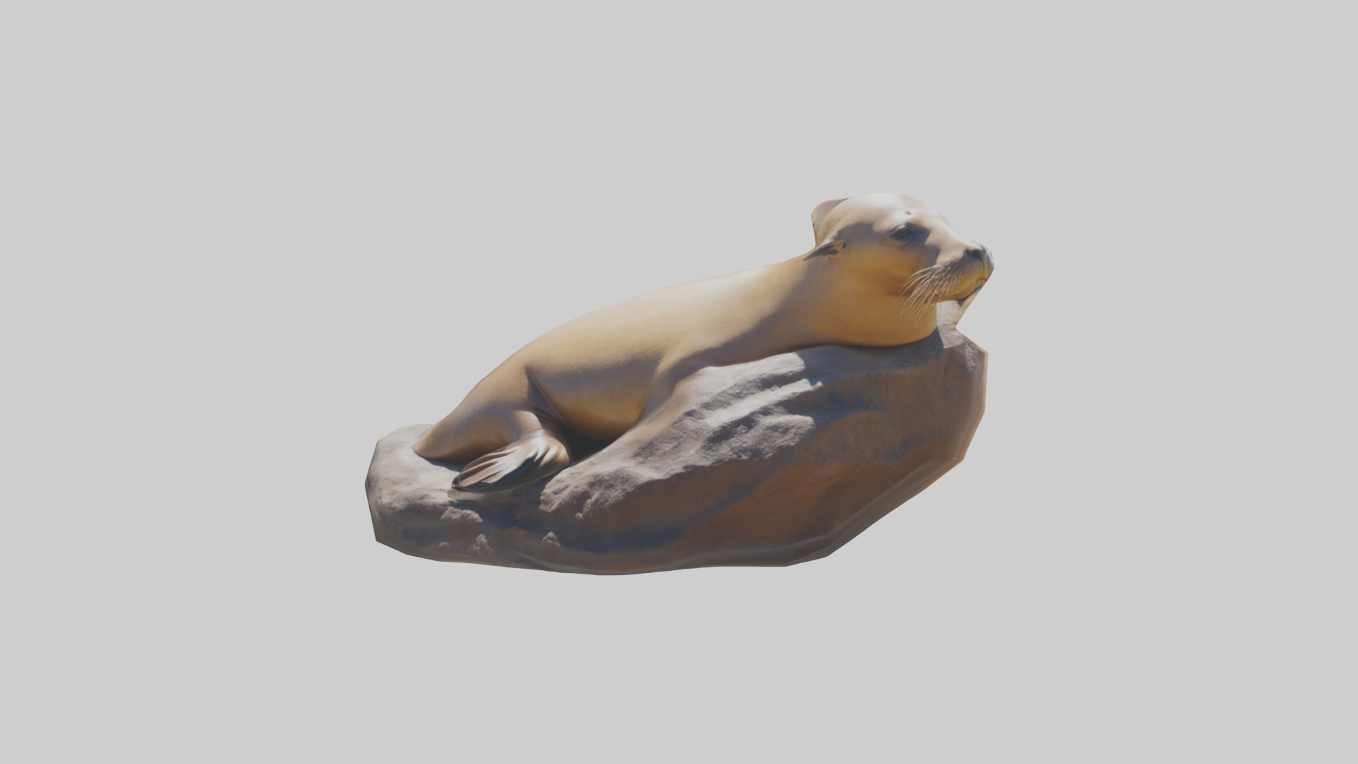 California Sea Lion sunbathing model Low-poly 3D model_10
