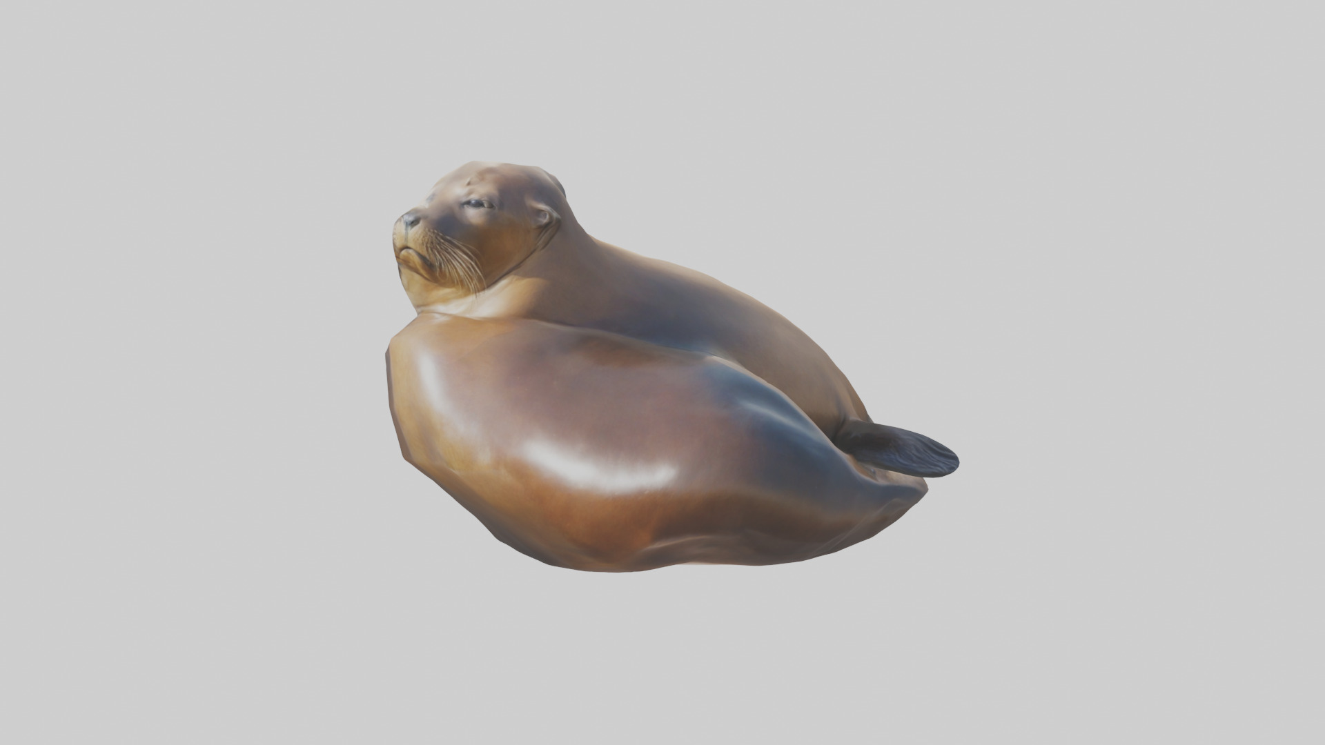 California Sea Lion sunbathing model Low-poly 3D model_1