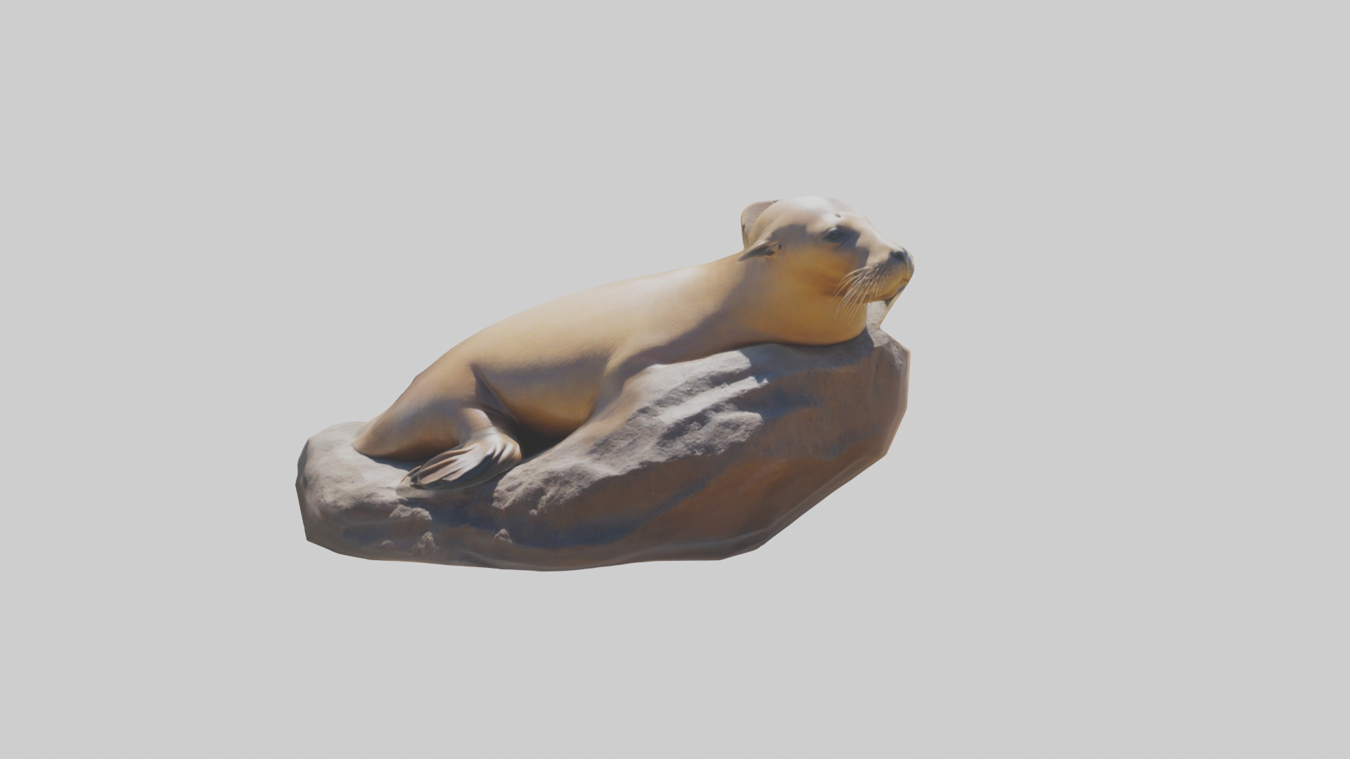 California Sea Lion sunbathing model Low-poly 3D model_20