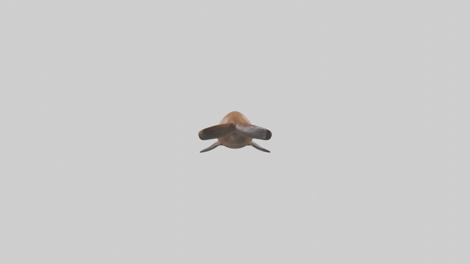California Sea Lion swimming model Low-poly 3D model_2