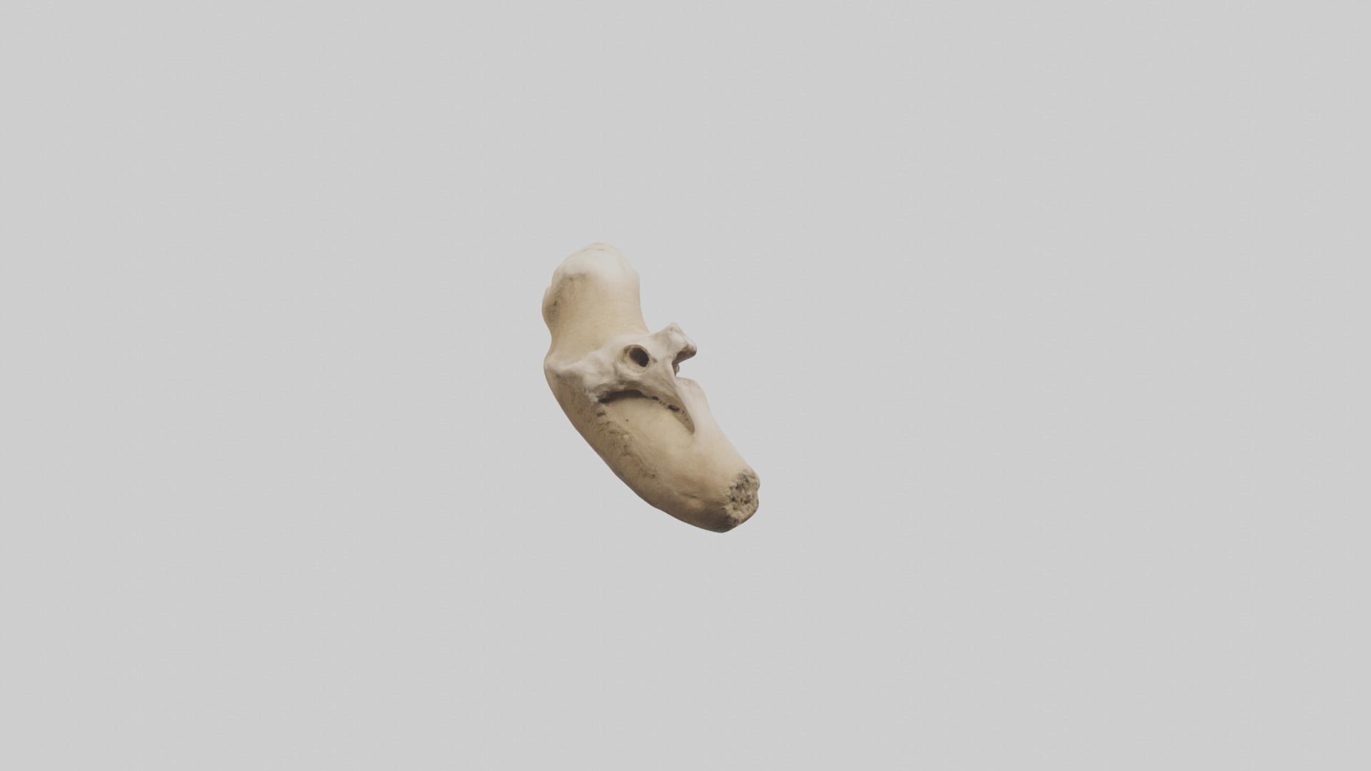 Camel Femur Low-poly 3D model_20