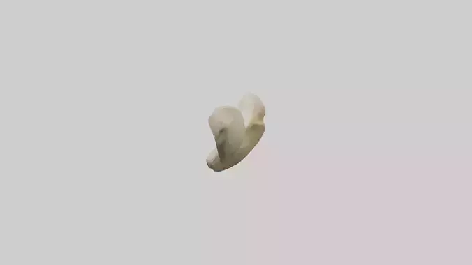 Camel Femur Low-poly 3D model