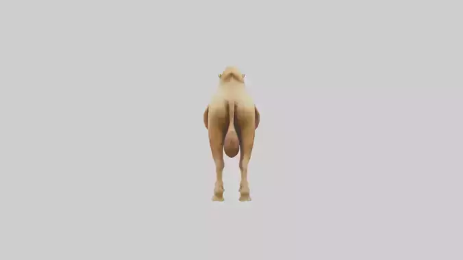 Camel Humps Model