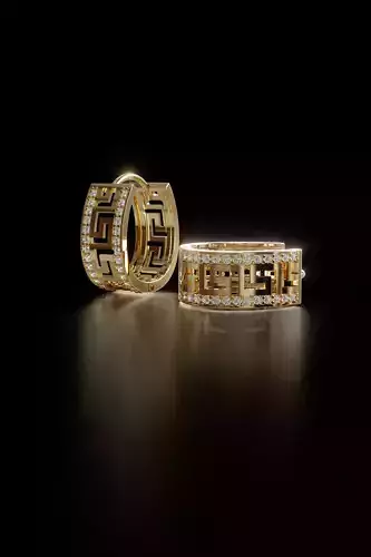 Hoop Earrings For Women 3D print model