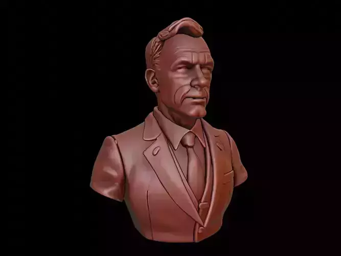 Lawyer Bust 3D print model