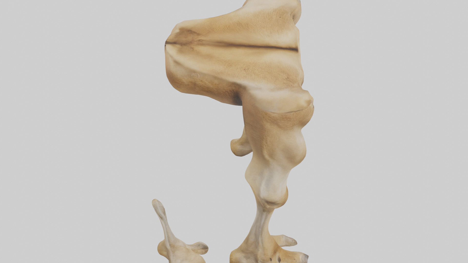 Camel Legs Low-poly 3D model_28
