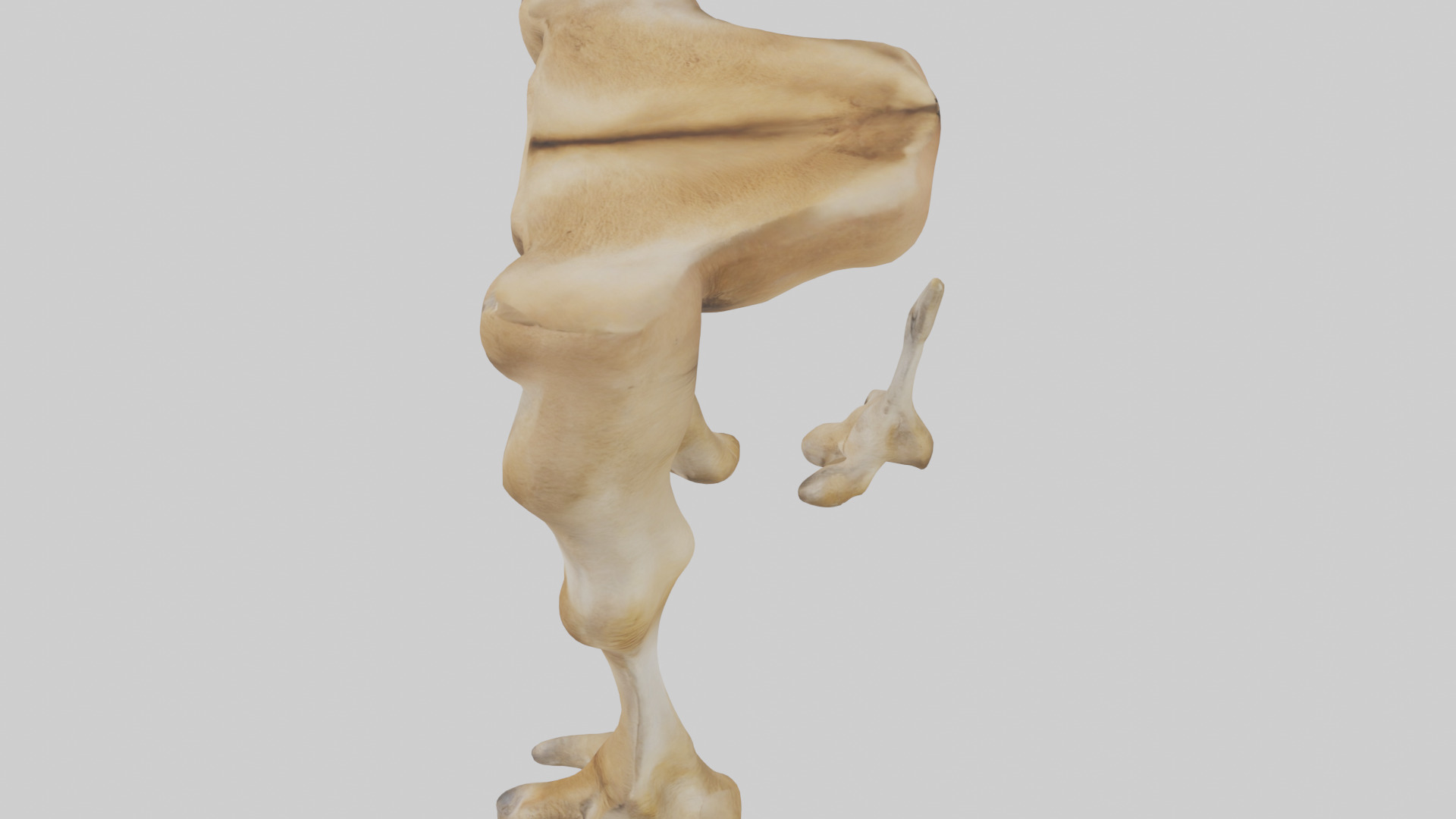 Camel Legs Low-poly 3D model_27