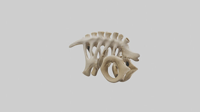 Camel statue model Low-poly 3D model