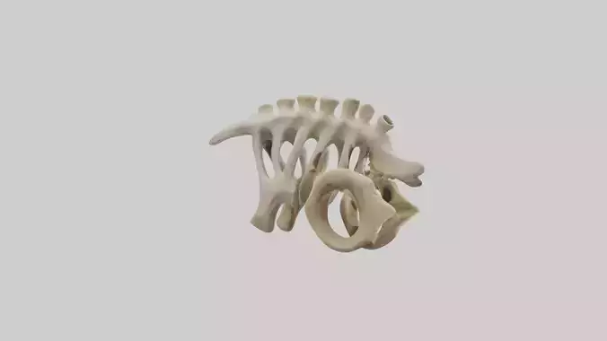 Camel statue model Low-poly 3D model