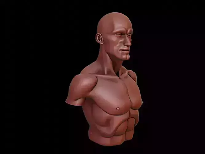 Model Bust