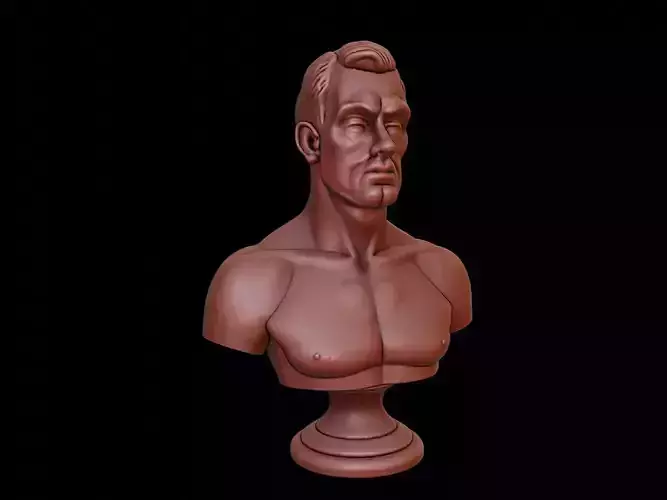 Model Bust