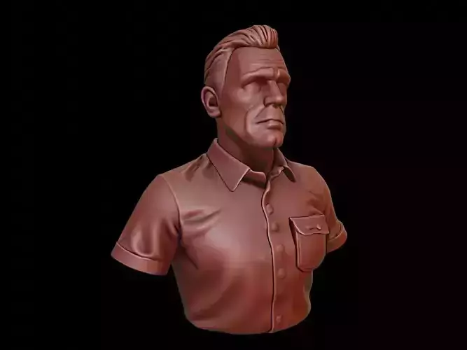 Nurse Man Bust