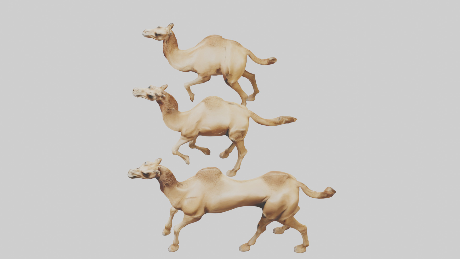 Camels galloping model Low-poly 3D model_27