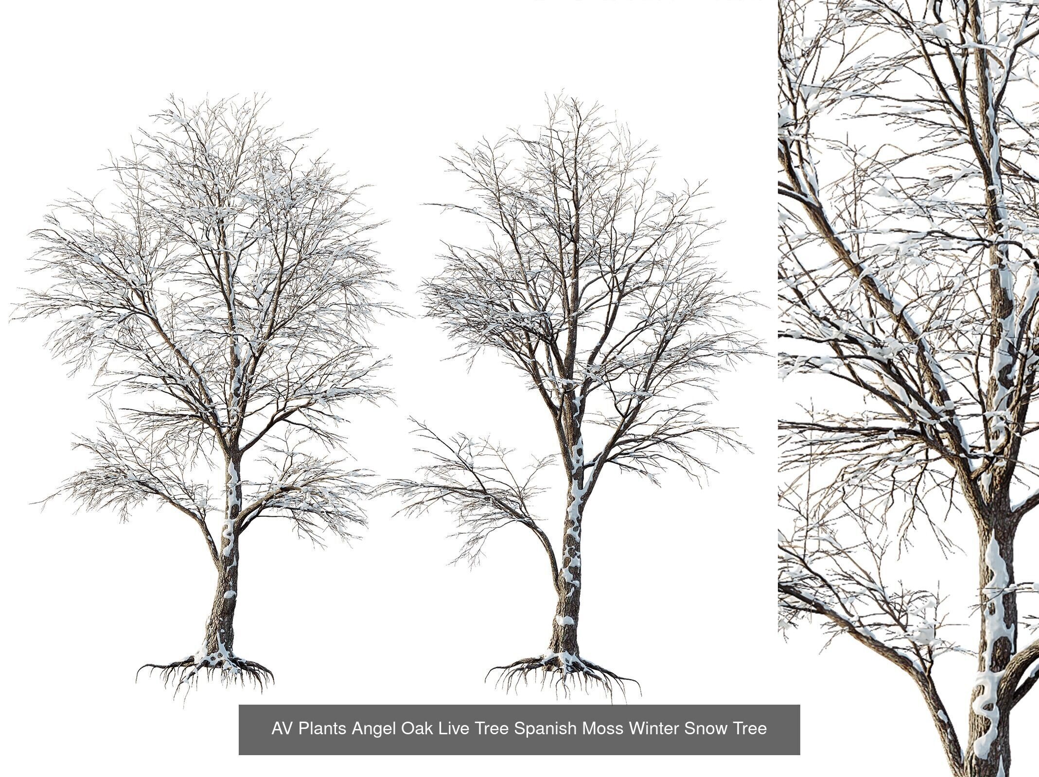 AV 10 different winter snow tree sets 3D Model Collection_5