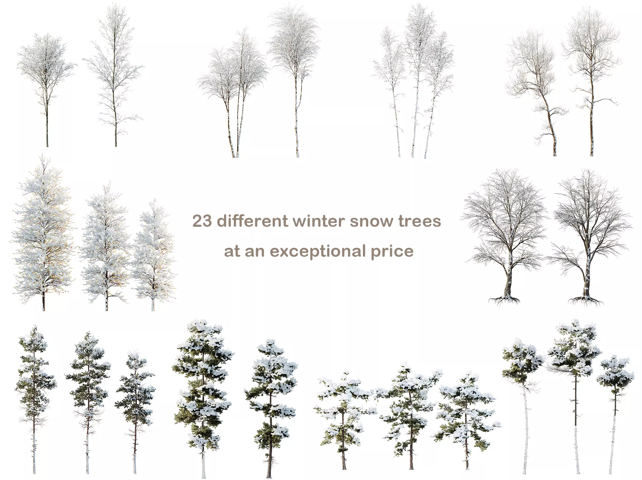 AV 10 different winter snow tree sets 3D Model Collection_0