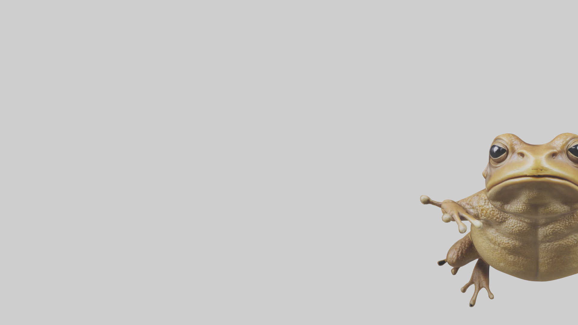 Cane Toad hopping model Low-poly 3D model_21