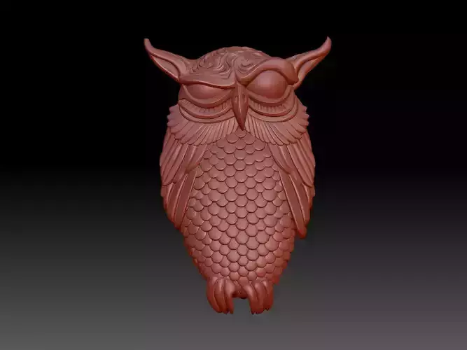 Owl bird 