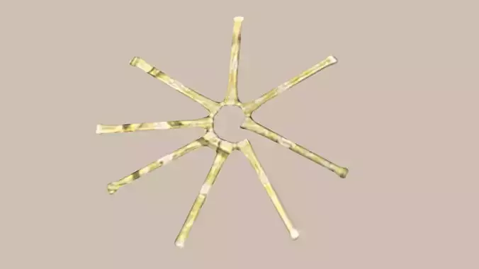 Star Diatom