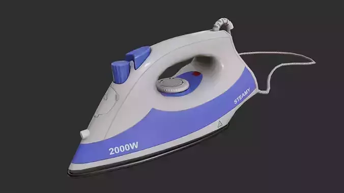 Steam Iron Type 1