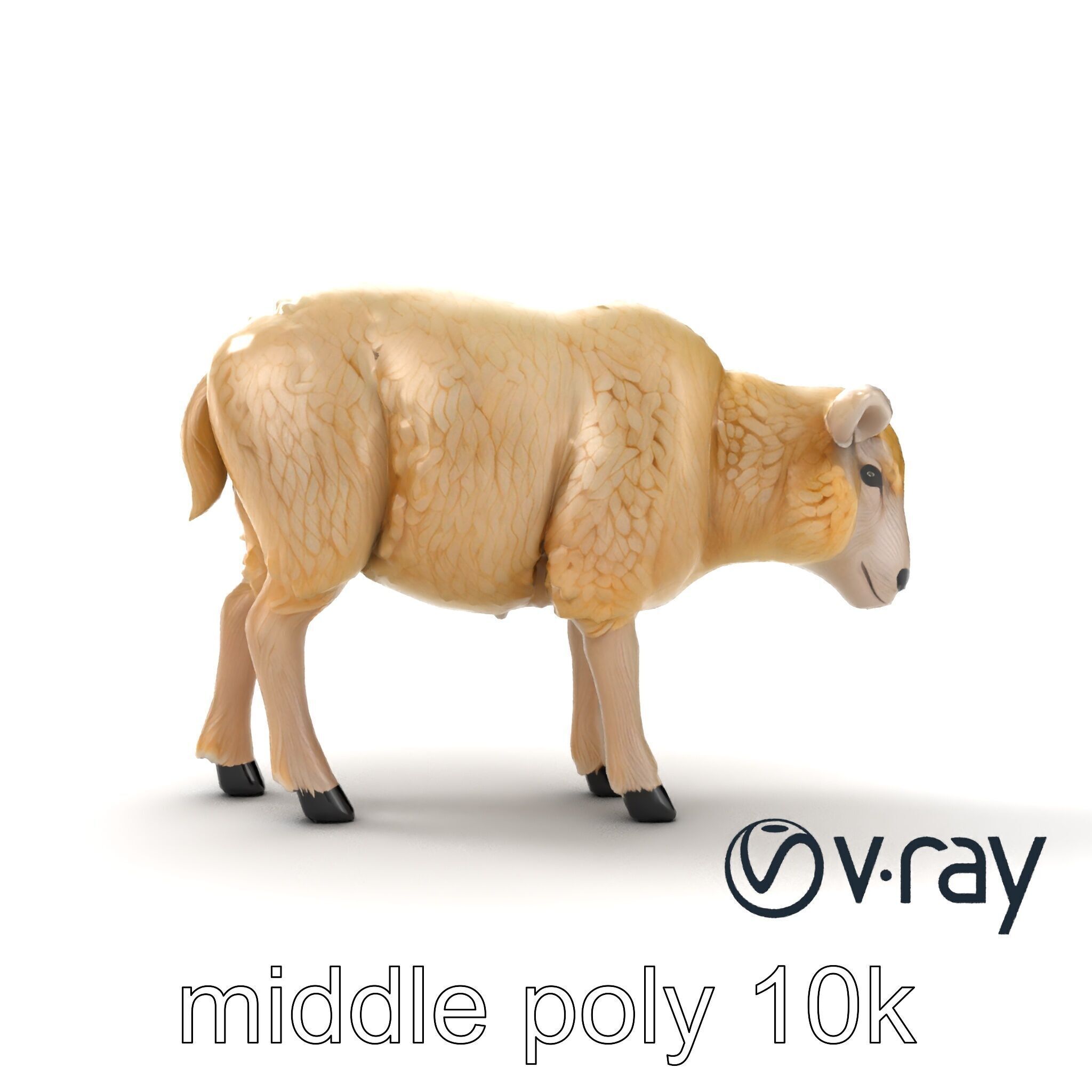 Fluffy Sheep Pastoral Scene model pack Low-poly 3D model_18