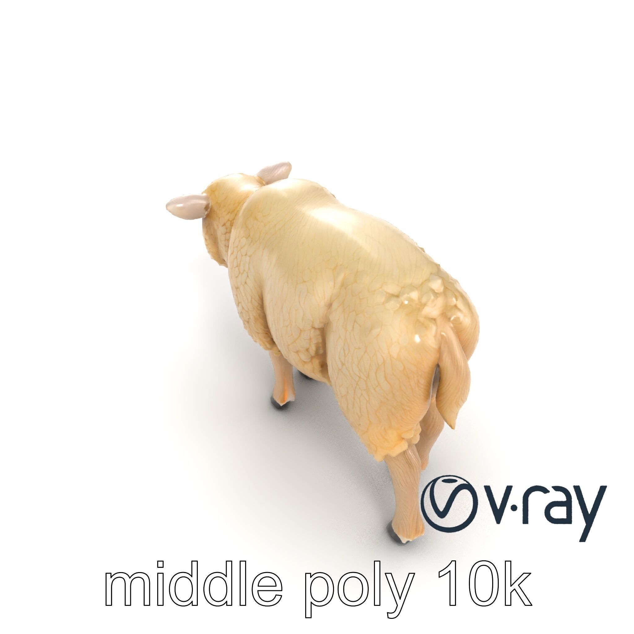 Fluffy Sheep Pastoral Scene model pack Low-poly 3D model_15