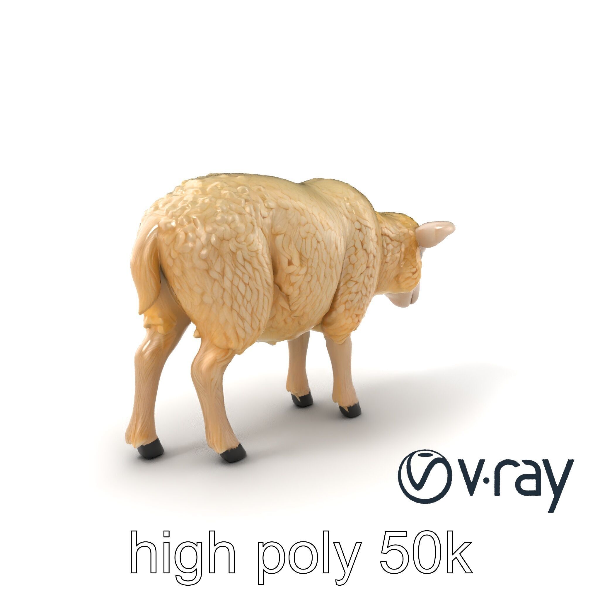 Fluffy Sheep Pastoral Scene model pack Low-poly 3D model_6
