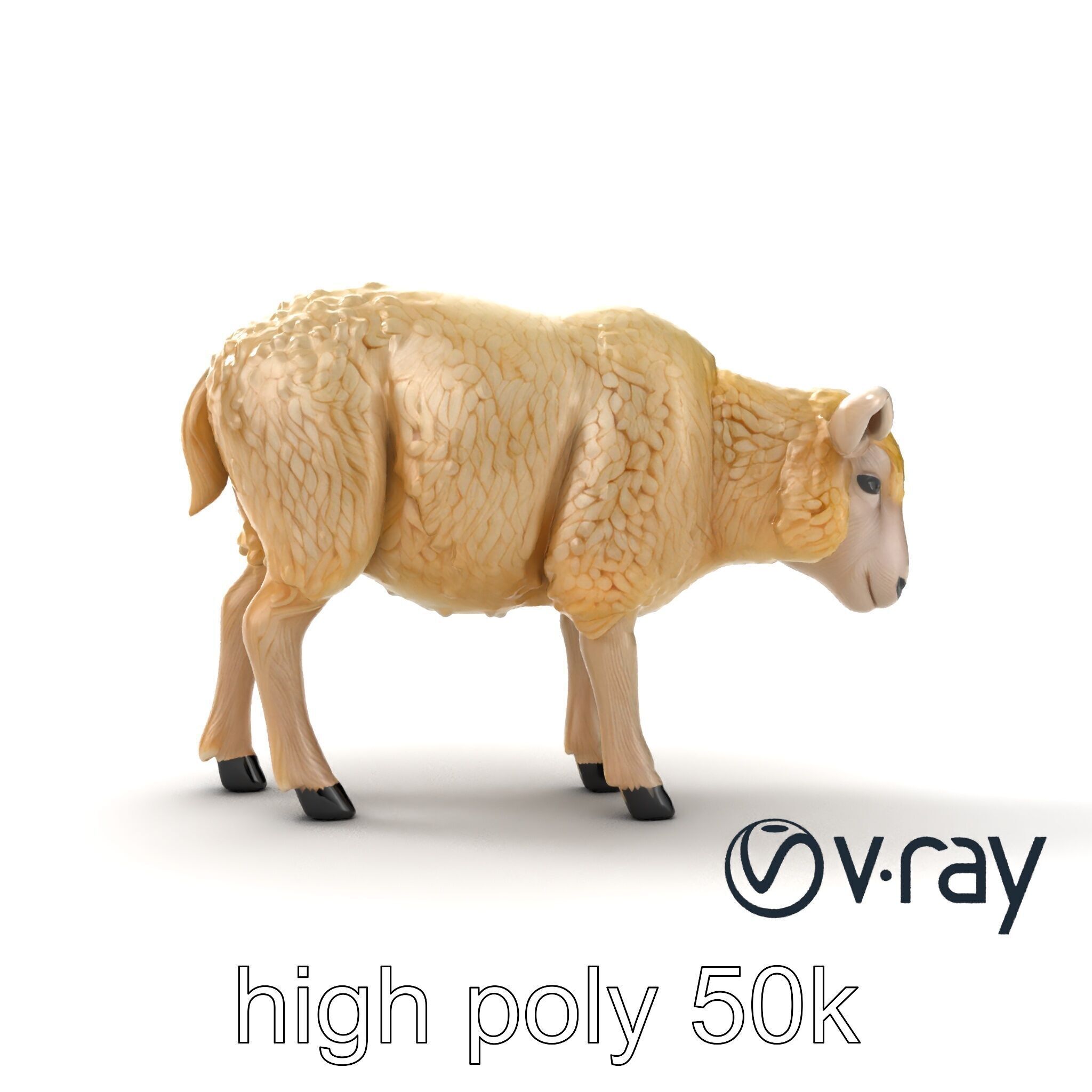 Fluffy Sheep Pastoral Scene model pack Low-poly 3D model_25
