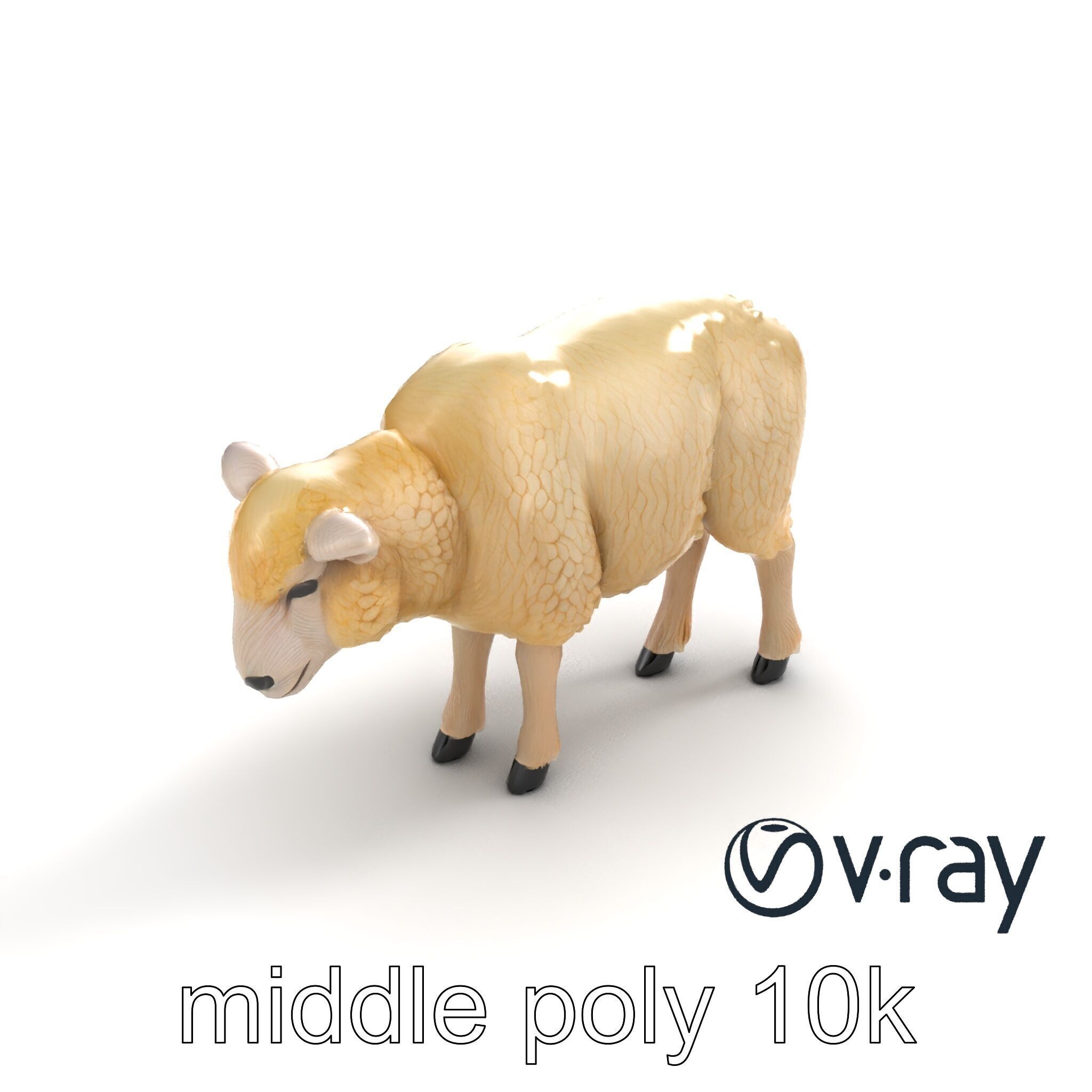 Fluffy Sheep Pastoral Scene model pack Low-poly 3D model_4
