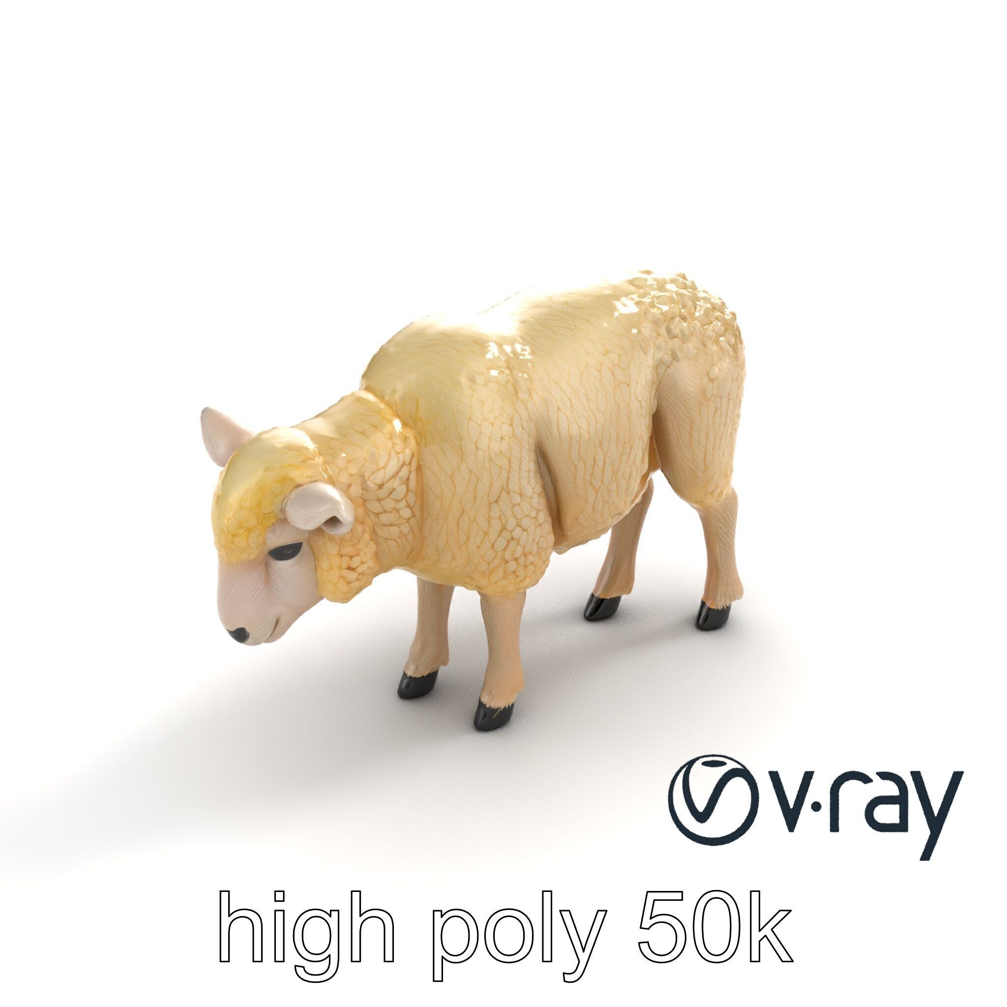 Fluffy Sheep Pastoral Scene model pack Low-poly 3D model_9