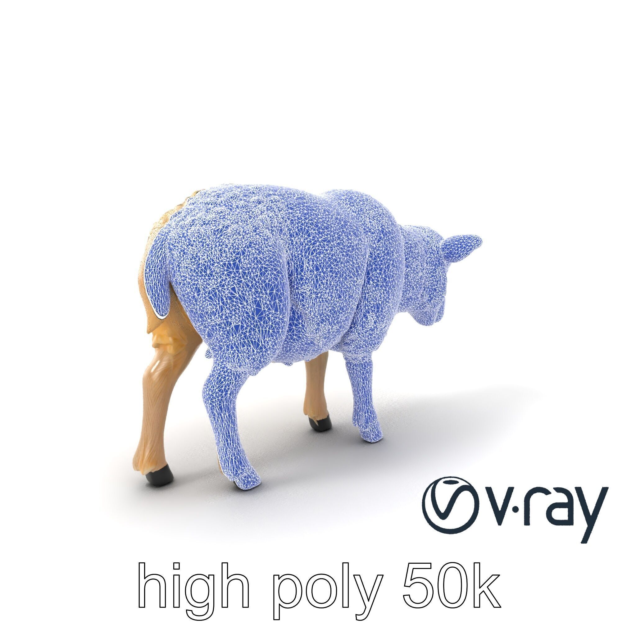 Fluffy Sheep Pastoral Scene model pack Low-poly 3D model_31
