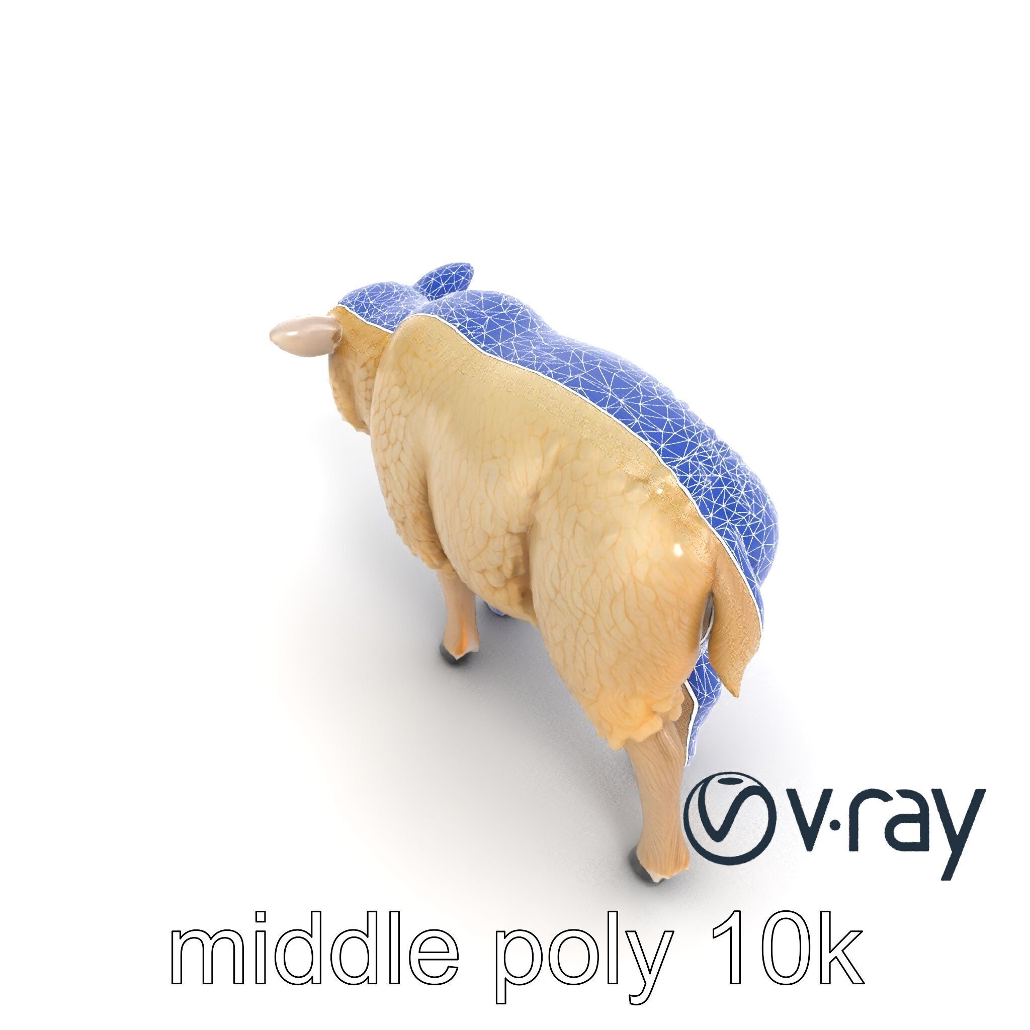 Fluffy Sheep Pastoral Scene model pack Low-poly 3D model_24
